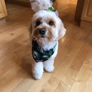 Meet your Posher, Debra